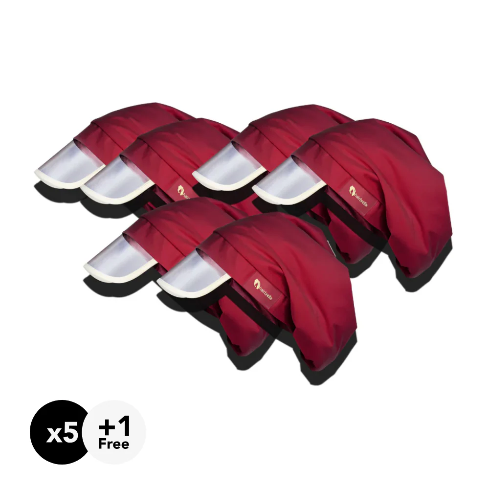 Hairbrella Classic Gifting Bundle (Buy 5, Get 1 Free) - Image 10